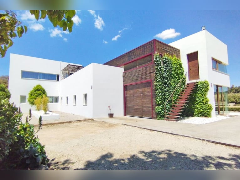 Ref2527 Andalusien, Ronda - moderner Reitstall/ Trainingszentrum zu verkaufen!