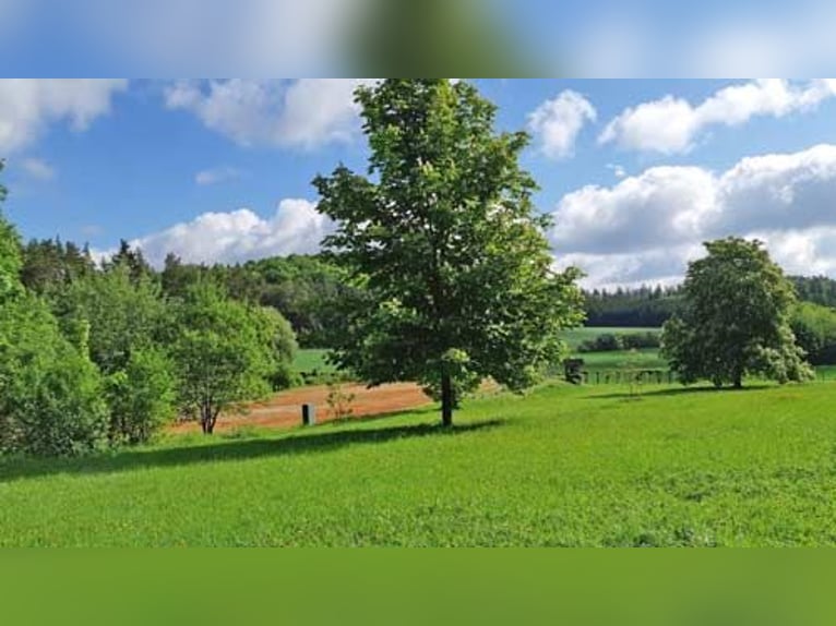 Ref2529 Bayern, Oberfranken, fränkische Schweiz, 50 km Nürnberg - exkl. Anwesen für Pferdefreunde