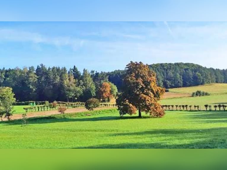 Ref2529 Bayern, Oberfranken, fränkische Schweiz, 50 km Nürnberg - exkl. Anwesen für Pferdefreunde