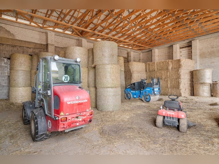 Reitanlage bei Berlin zu verkaufen – Platz für knapp 100 Pferde im Landkreis Havelland Schönwalde-Gl