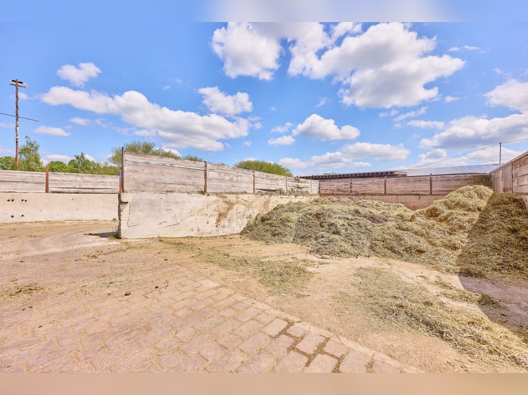 Reitanlage bei Villingen-Schwenningen mit zwei Reithallen & ländlicher Wohnidylle! Reitanlage bei Villingen-Schwenningen mit zwei Reithallen & ländlicher Wohnidylle!