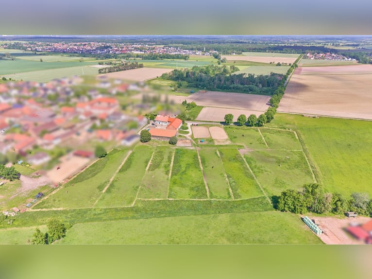 Reitanlage bei Wolfsburg mit Platz für rund 18 Pferde zu verkaufen!