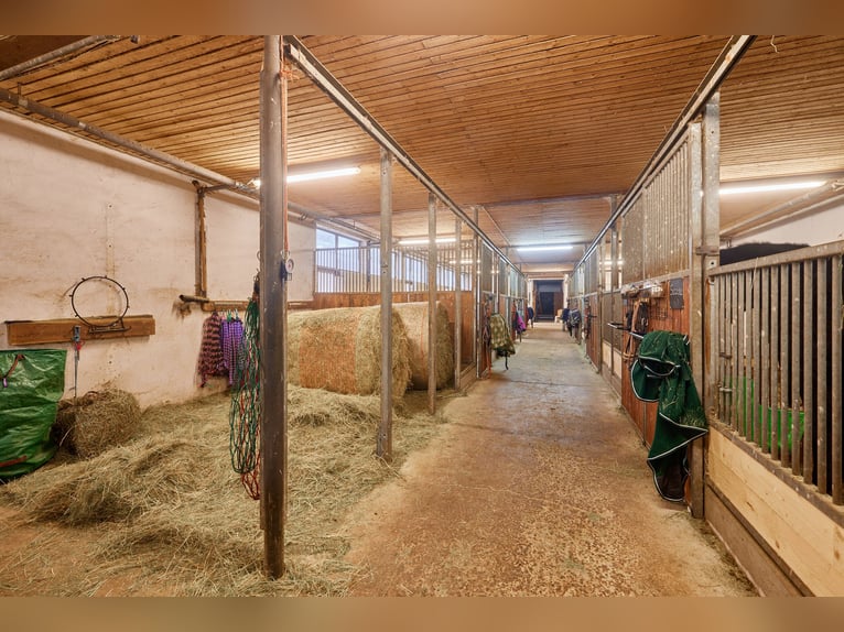 Reitanlage im Schwarzwald auf einem Erbpacht-Grundstück mit zwei Wohneinheiten!