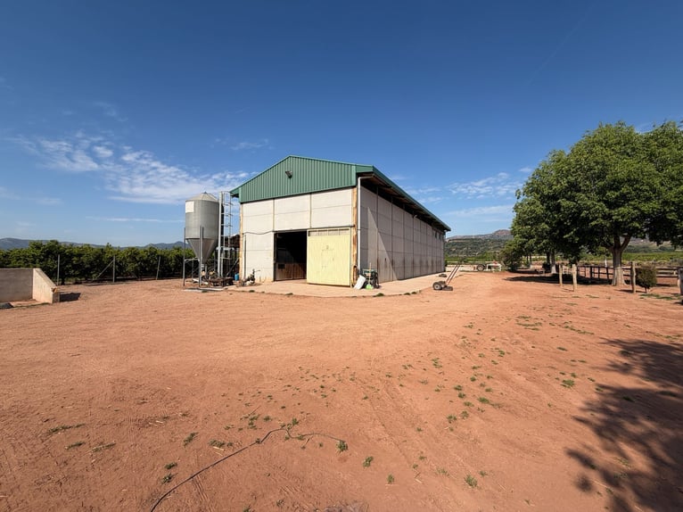Reitanlage in Castellón