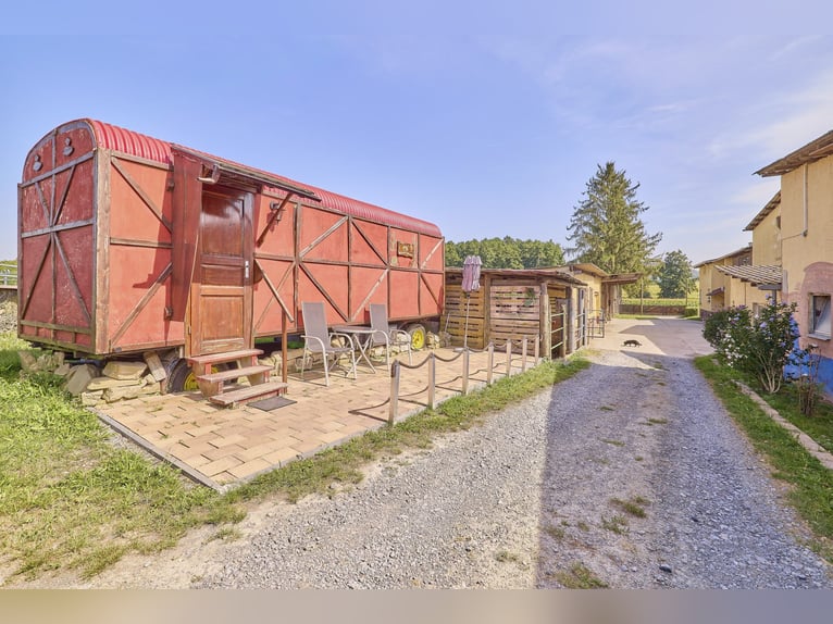 Reitanlage in Eppingen mit Gastronomiebetrieb in malerischer Alleinlage – die Moonlight Ranch!