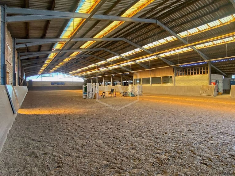 Reitanlage in Ibbenbüren