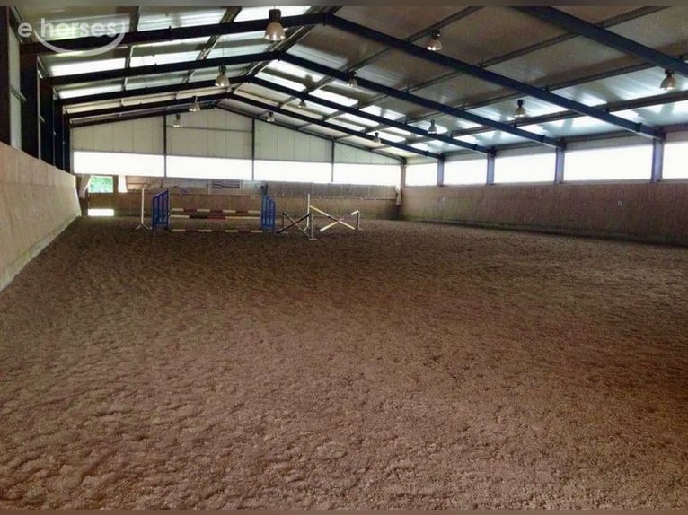 Reitanlage in malerischer Lage