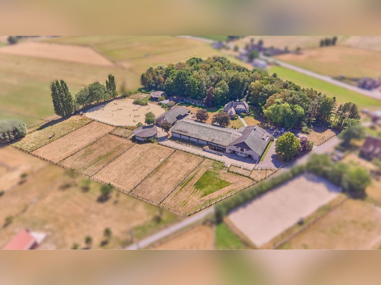 Reitanlage in NRW Nähe Münster zu verkaufen – Modernes Landhaus, Reithalle, Springplatz und Co.