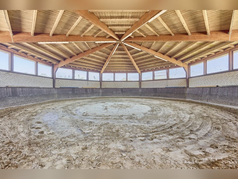 Reitanlage in NRW Nähe Münster zu verkaufen – Modernes Landhaus, Reithalle, Springplatz und Co.
