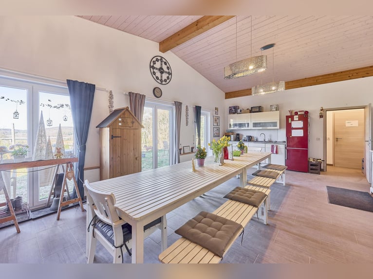 Reitanlage in Rheinland-Pfalz – moderner Aktivstall im Donnersbergkreis!