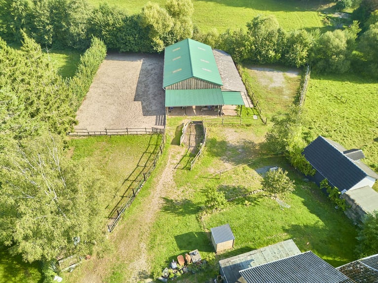 Reitanlage in Rheinland-Pfalz zu verkaufen – Pferdeimmobilie mit kleiner Reithalle und Wohnhaus!