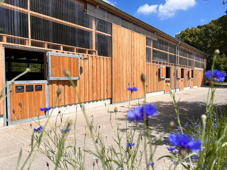Reitanlage kaufen im Landkreis Cuxhaven – Gutshaus, Reithalle, Wald und 10,5 ha Land