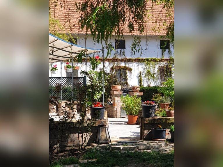 Reitanlage mit 60er Halle an der österreichischen Grenze