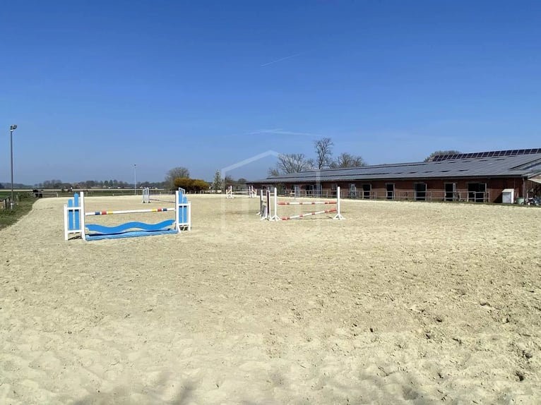 Reitanlage mit arrondierter Flächenausstattung in Alpen