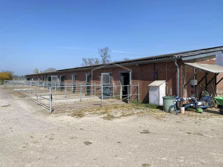 Reitanlage mit arrondierter Flächenausstattung in Alpen