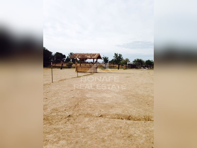 Reitanlage mit Stall für 12 Pferde und Reitplatz
