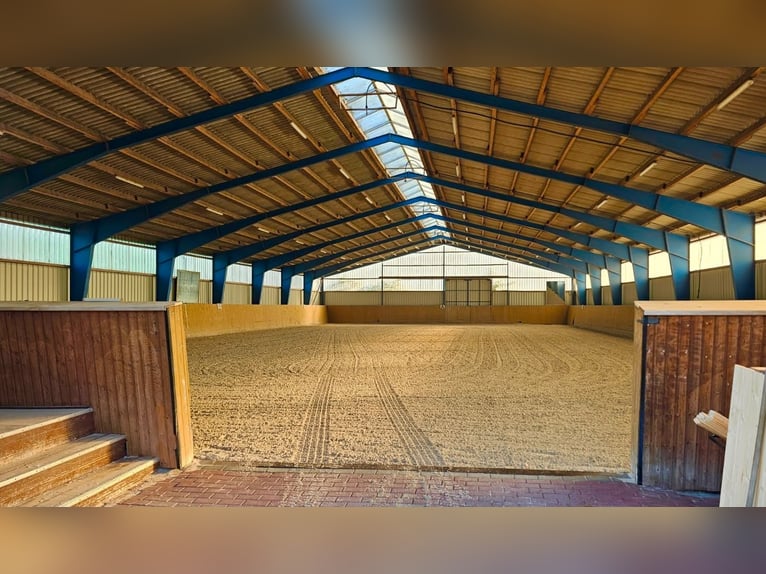 Reitanlage mit vielfältigem Entwicklungspotenzial nahe Berlin