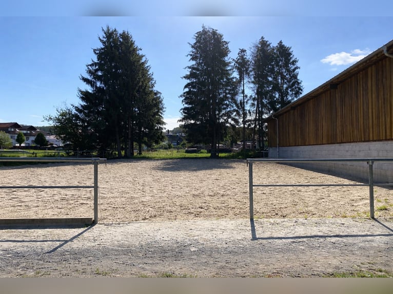 Reitanlage mit Wohn- und Gewerbeeinheit in Hohenahr - vielseitig nutzbare Liegenschaft