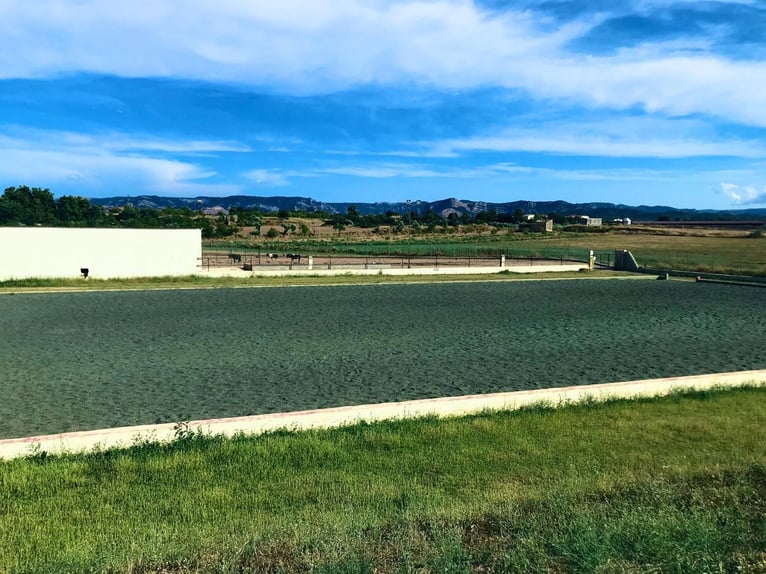 Reitanlagen in der berühmten Region des Matarraña-Anwesens