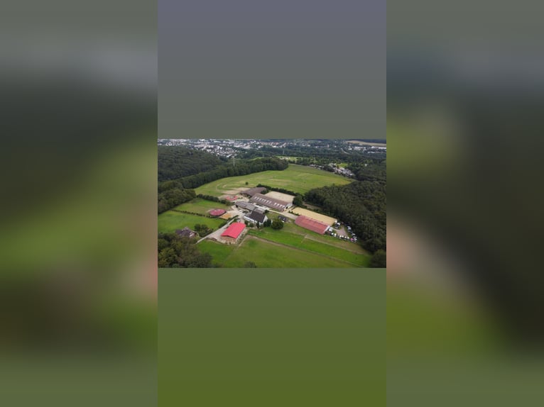 Reitbetrieb Reitanlage mit Mehrfamilienhaus