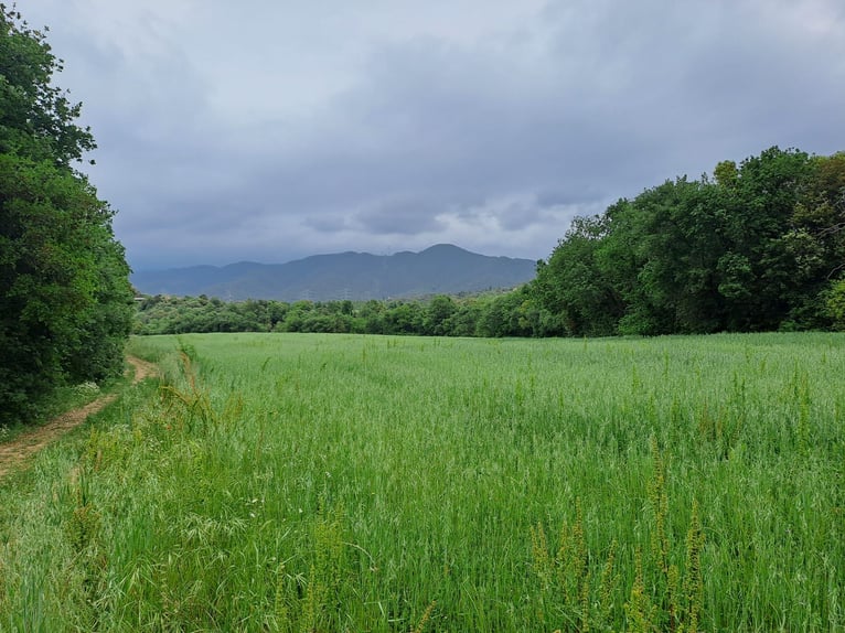 Reiterhof in Girona-Costa Brava, vielfältige Nutzungsmöglichkeiten