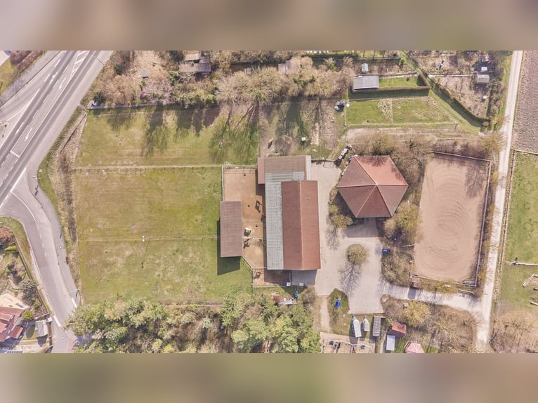 Reiterhof kaufen im Landkreis Kitzingen mit modernem Wohnhaus aus 2019 und Kapazität für 21 Pferde!