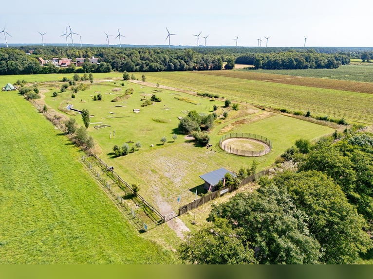 Reiterhof mit historischem Gutshaus im Aller-Leine-Tal zu verkaufen - 7 ha arrondierte Flächen