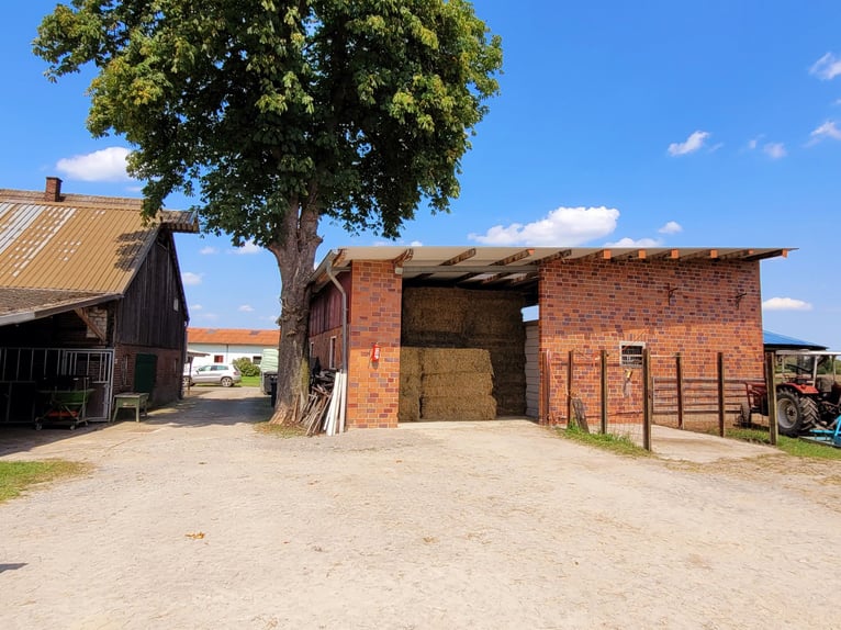 Reiterhof mit Zucht und Aufzucht - Pferd, Pferde, Pferdebetrieb, Pension, Pensionsbetrieb, Reithof