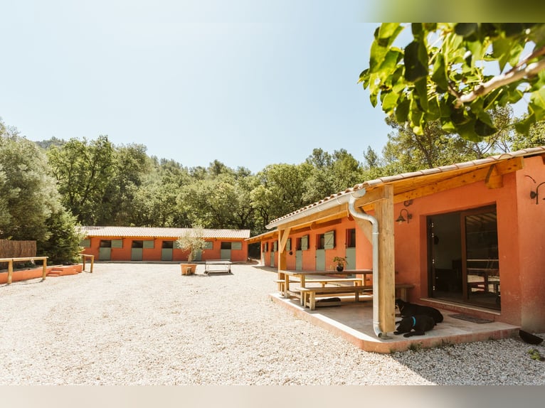 Reitkunst auf höchstem Niveau und Lebensart aus der Provence