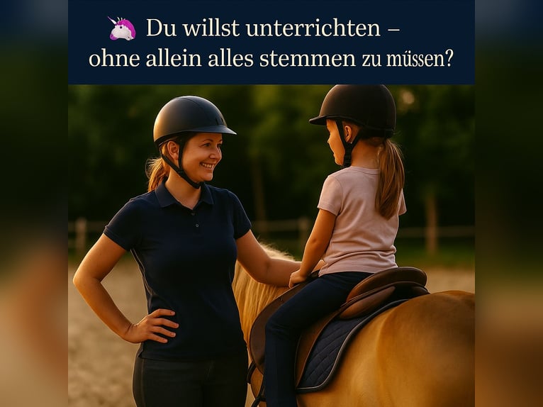 Reitschule gründen – auf professioneller Anlage mit voller Unterstützung