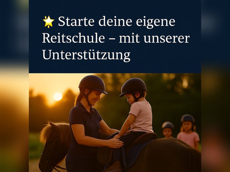 Reitschule gründen – auf professioneller Anlage mit voller Unterstützung