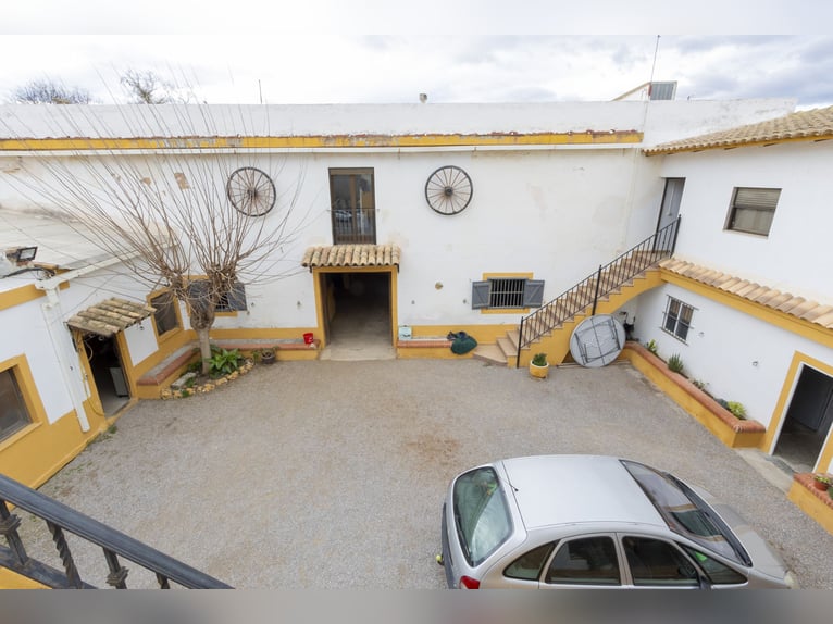 Reitstall und Chalet in der Nähe von Valencia zu verkaufen