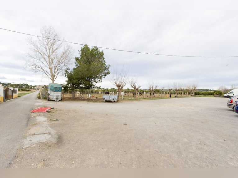 Reitstall und Chalet in der Nähe von Valencia zu verkaufen