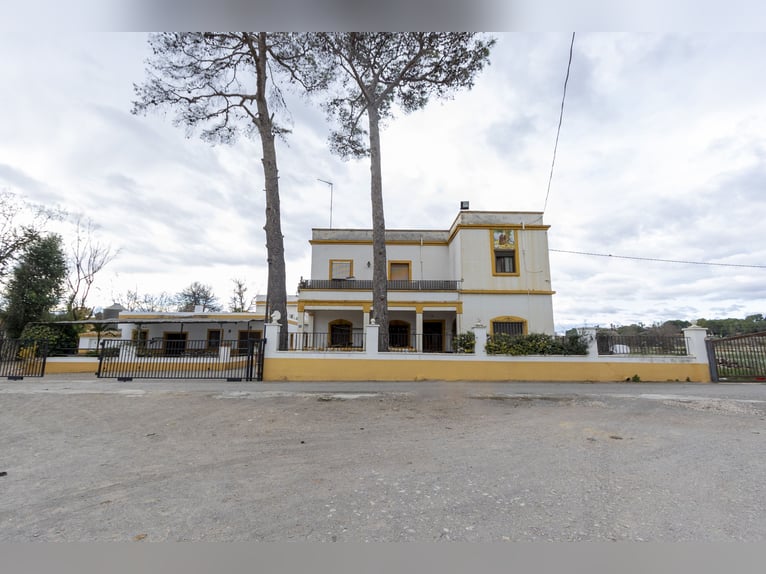 Reitstall und Chalet in der Nähe von Valencia zu verkaufen