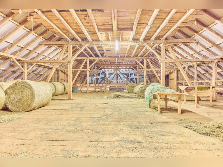 *Reserviert* Pferdeimmobilie im Schwarzwald - Traumhafte Blicklage gepaart mit moderner Stallung!