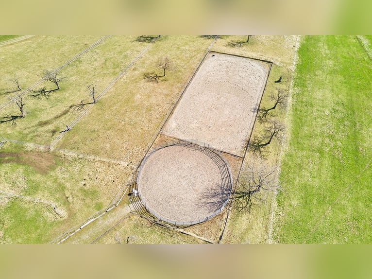 *Reserviert* Pferdeimmobilie im Schwarzwald - Traumhafte Blicklage gepaart mit moderner Stallung!
