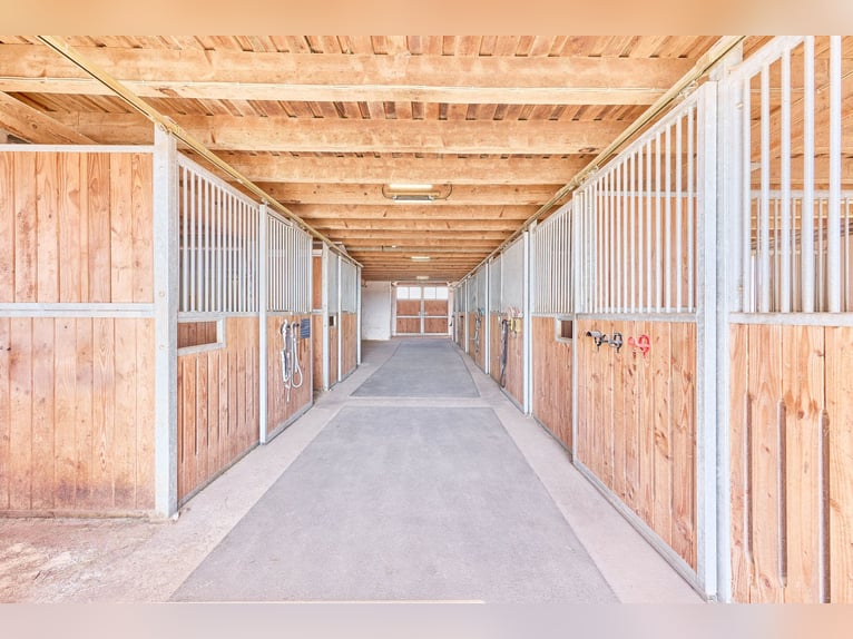 *Reserviert* Pferdeimmobilie im Schwarzwald - Traumhafte Blicklage gepaart mit moderner Stallung!