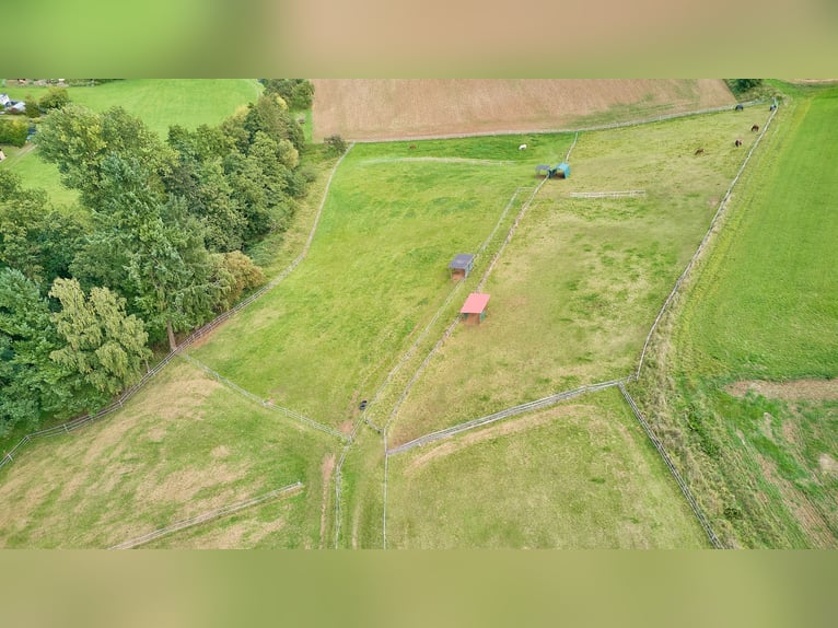 *reserviert* Pferdeimmobilie in Hessen – charmantes Fachwerkensemble mit Reithalle in Groß-Bieberau!