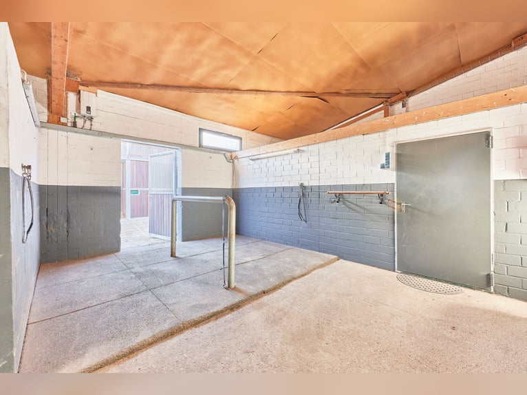 *RESERVIERT* Reitanlage in Niedersachsen (Landkreis Uelzen) mit Wohn- und Gästehaus zu verkaufen!