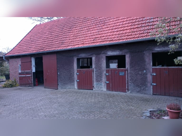 Resthof / Mehrfamilienhaus / Anlage-Objekt zu verkaufen