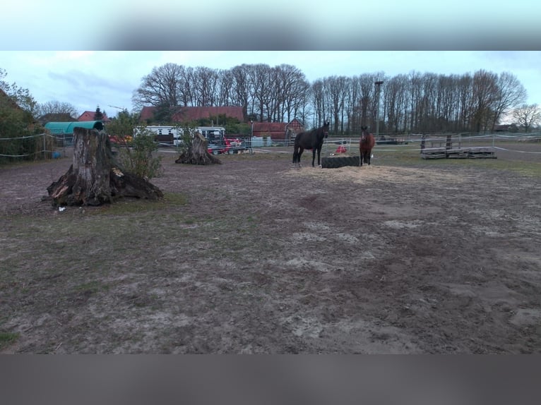 Resthof / Mehrfamilienhaus / Anlage-Objekt zu verkaufen