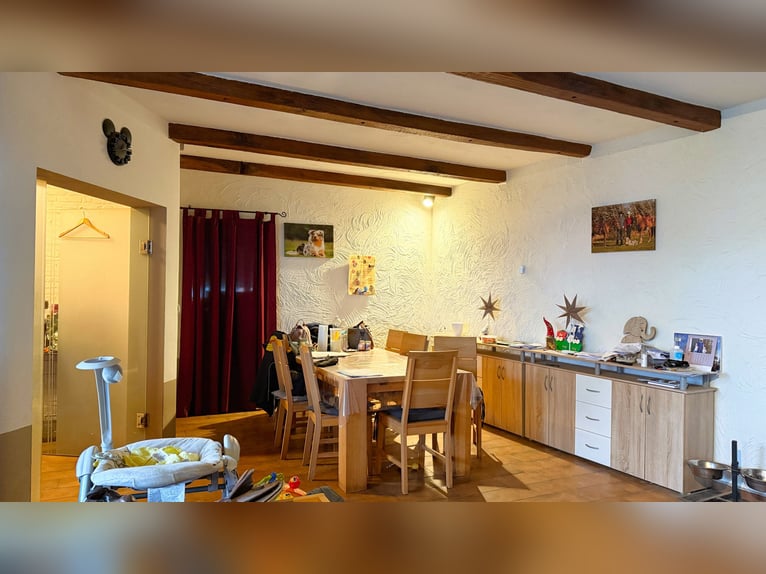 Resthof mit Reithalle, Stallanlagen und weitläufigen Pachtflächen in Linnich