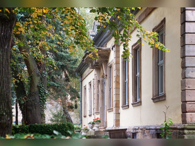 Schloss zu verkaufen in Rheinhessen mit eigener Reitanlage und Event-Location!