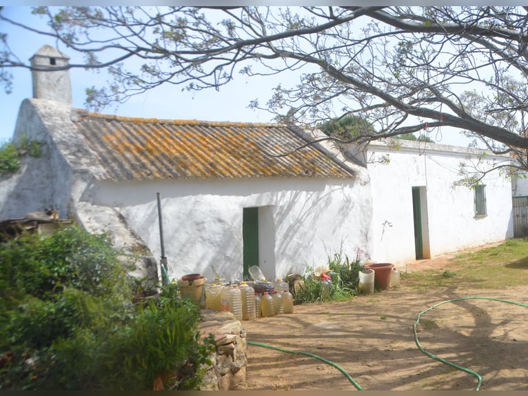 Schöne Finca mit besonderem Charme