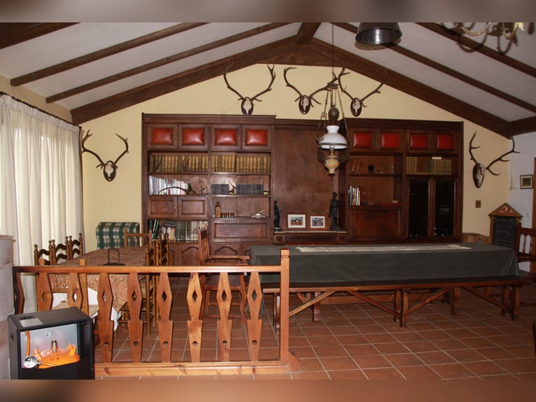 Schöne Finca mit Herrenhaus in Salamanca – 200 Hektar