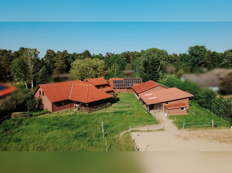 Schöner Landsitz für Pferdeliebhaber