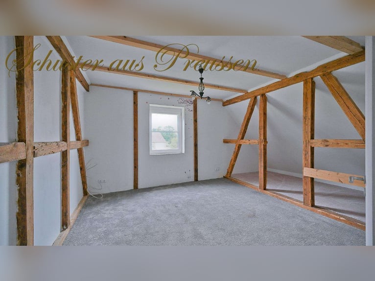 Schuster aus Preussen - Famoses Landhaus für den Pferdefreund - 1,7 ha Grundstück in malerischen Ort