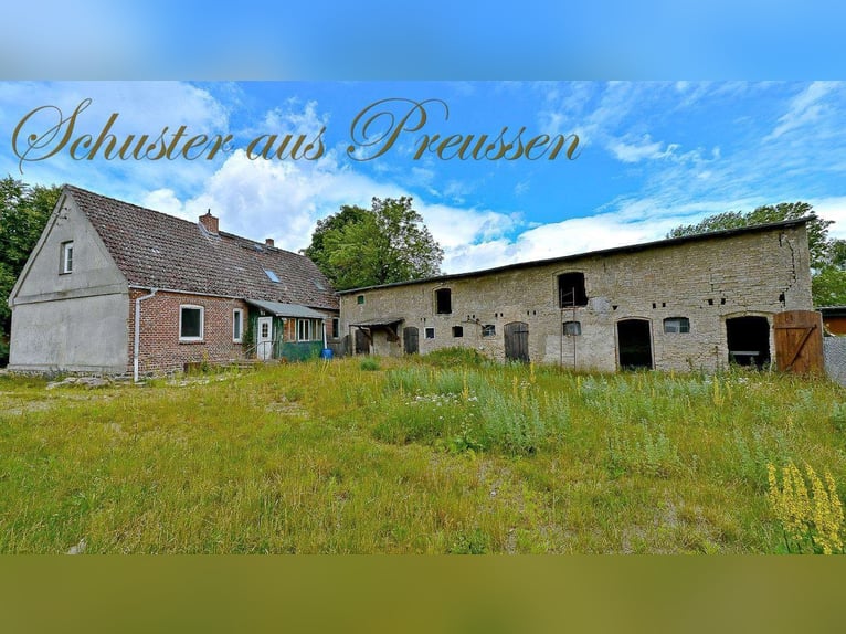 Schuster aus Preussen - Famoses Landhaus für den Pferdefreund - 1,7 ha Grundstück in malerischen Ort