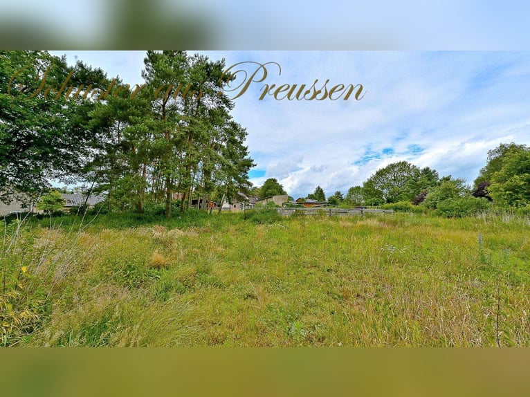 Schuster aus Preussen - Famoses Landhaus für den Pferdefreund - 1,7 ha Grundstück in malerischen Ort