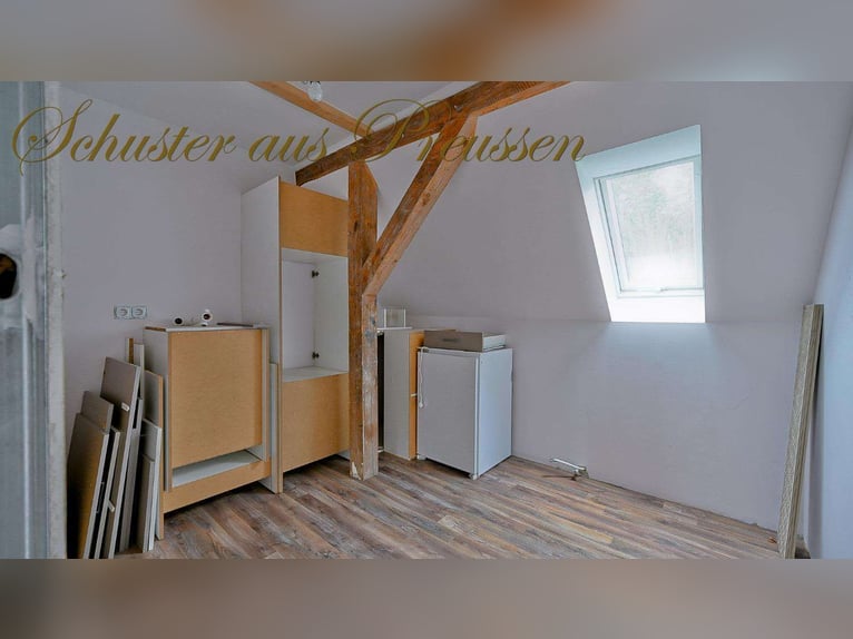 Schuster aus Preussen - Famoses Landhaus für den Pferdefreund - 1,7 ha Grundstück in malerischen Ort
